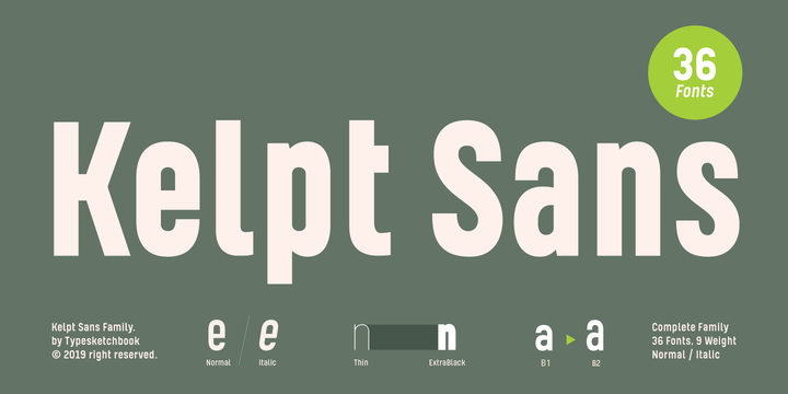 Пример шрифта Kelpt Sans B1